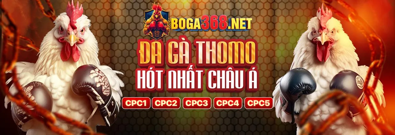 Đá Gà Trực Tuyến vz99 bet - Sân đấu sống động